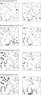 Can We Compare Effect Size of Spatial Genetic Structure Between Studies and Species Using Moran Eigenvector Maps?